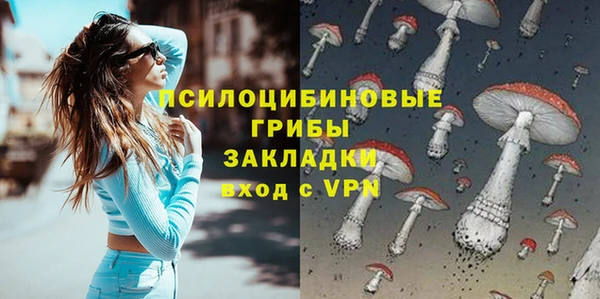 mdma Няндома