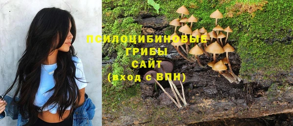 мяу мяу мука Нязепетровск
