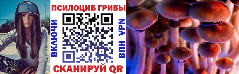 Галлюциногенные грибы Psilocybine cubensis  Южа 