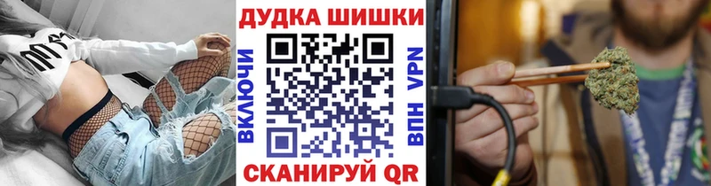 блэк спрут как зайти  закладки  Южа  Марихуана сатива 